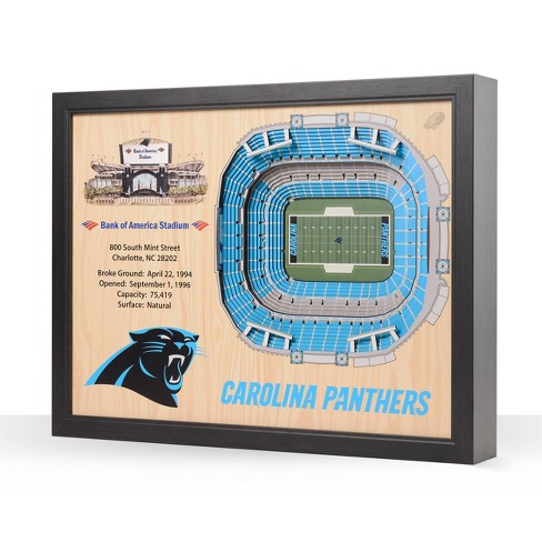 NFL Carolina Panthers StadiumViews Wall Art- Bank of America