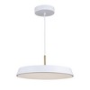 Artcraft Lighting Lexi 1 - Light Pendant in  White - 2 of 4