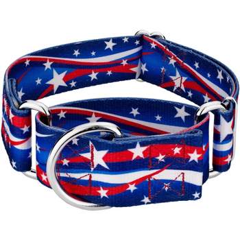 Country Brook Petz 1 1/2 Inch Star Spangled Martingale Dog Collar