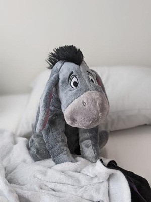 Eeyore stuffed sale animal target