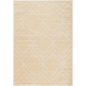 Adirondack ADR241 Non-Shedding Power Loomed Indoor Rugs - Safavieh - 1 of 4