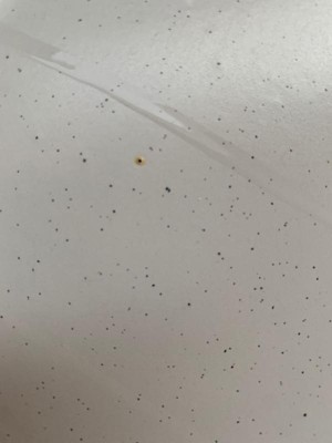 Guest review image 1 of 2, zoom in
