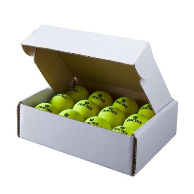 Wilson Platform Tennis Practice Balls