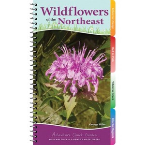 Wildflowers of the Northeast - (Adventure Quick Guides) by  George Oxford Miller (Spiral Bound) - 1 of 1