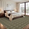 Washable Modern Braided Printed Rug Non Slip Low Pile Rug Soft Contemporary Throw Floor Cover Foldable Indoor Carpet for Living Room Bedroom - 4 of 4