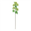 Snowball Floral Spray (Set of 6) - 3 of 3