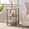 Dylin 3 Shelf Accent Table - ACC5738 - Safavieh - 2 of 4