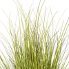 Green/Brown Switchgrass Potted - 2 of 4