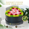 Moss Heart Petite 30 Preserved Roses with Moss – Eternal Flowers in Heart Gift Box, Romantic Décor Gift, Multi Pink - 4 of 4