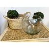 Essential Decor & Beyond Round Glass Bowl Table Top Decorative Vase - 4 of 4