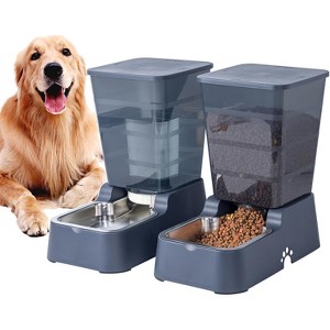 Pet Auto Feeder with Water Dispenser, Automatic Food and Water Bowl Set for Cats and Medium/Large Dogs - 1 of 4