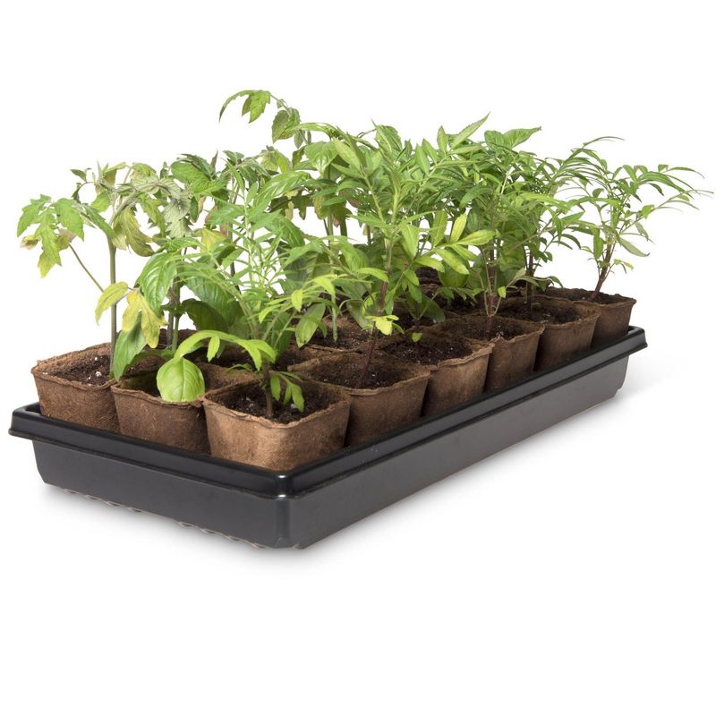 3-1/2” Square Biodegradable Pots & Tray Set, 3 of 4