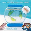 Thames & Kosmos Wow in the World Sea Creatures Aquarium - 2 of 4
