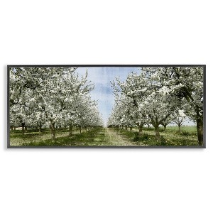 Stupell Industries Blooming White Tree Orchard, 24" x 10" - 1 of 4
