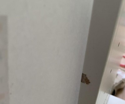 Guest review image 2 of 3, zoom in