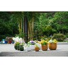 SpassWay 9" Dia Outdoor Indoor Ceramic Planter Pot Decorative Planter with Drainage Hole Patio Flower Pot - 4 of 4