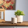 Melrose Footed Stone Planter (Set of 2) - 2 of 4