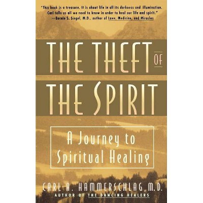  Theft of the Spirit - (Journey to Spiritual Healing) by  Carl Hammerschlag (Paperback) 