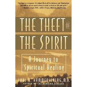 Theft of the Spirit - (Journey to Spiritual Healing) by  Carl Hammerschlag (Paperback) - 1 of 1