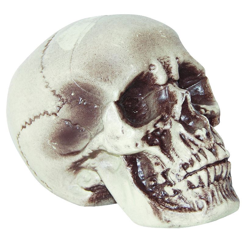 Sunstar Realistic Skull Prop Halloween Decoration - 7 in x 7.5 in x  6 in - White, 1 of 2