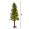 Nearly Natural 9-ft Wyoming Alpine Artificial Christmas Tree with 300 Clear (Multifunction) LED Lights and Pine Cones on Natural Trunk - 2 of 4