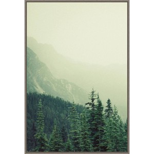 23" x 33" Rocky Mountain Trees VII by Lynann Colligan: Foggy Forest Scene, Amanti Art - 1 of 4