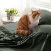 Full Size Bed Sheets - 4 Pieces Soft Full Sheet Set - Breathable & Cooling - Hotel Luxury - Easy Care Polyester Microfiber Bedding for Women, Men, Oli - 4 of 4
