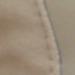 bone