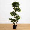 Nearly Natural 5-ft Pittosporum UV Resistant (Indoor/Outdoor) - 2 of 4
