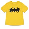 DC Comics Justice League Batman Baby Athletic T-Shirt and Mesh Shorts Outfit Set Infant - 2 of 4