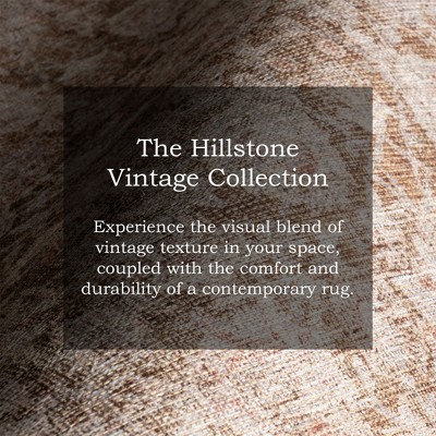 Hillstone Rust Rectangular Synthetic 4' x 6' Area Rug