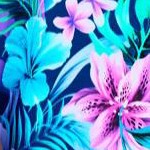 royal tropical