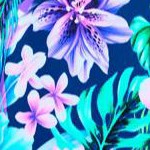 royal tropical