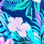 royal tropical