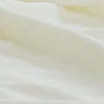 bone