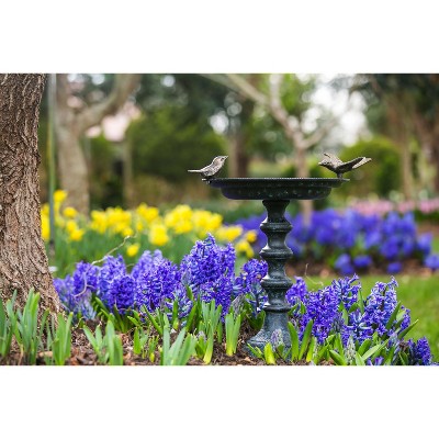 Ornate Cast Iron Bird Bath with Bronze Birds