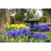 Evergreen Hummingbird Bird Baths for Outdoors Heavy Duty | Metal Bird Bath Bowl with Stand | Ground Standing Bird Bath and Feeder for Garden Yard Deck - 2 of 4