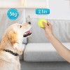 Prime Pets Tennis Balls for Dogs, 12 Pack 2.5 in Squeaky Rubber Doggie Exercise Toys - 2 of 4