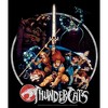 Men's ThunderCats Vintage Character Collage Circle T-Shirt - 2 of 4
