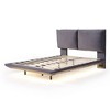 HomeRoots Gray Tufted Upholstered Full Bed Frame With LED Lighting And USB - 4 of 4
