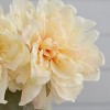 GlasFlength Artificial Plants Small Fake Plants Artificial Decoration Peony flower Faux Plants for Indoor Home Decor, White, 8"*5"*14" - 4 of 4