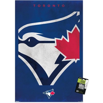 clear push pins bundle