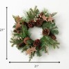 Artificial Goldstar Rustic Pine Mini Accent Wreath Multicolor 21"H - 3 of 3