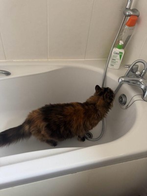 Guest review image 1 of 1, zoom in