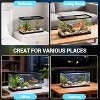 Small Fish Tank, Betta Fish Tank kit , Oxygen Generator, Fish Tank Starter Kits for Beta,Goldfish (13 Gallon) - 4 of 4
