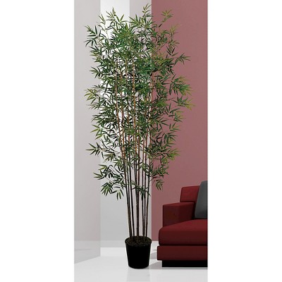 6' Green Silk Bamboo Topiary in Black Pot