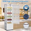 Acekool 10.9 Cu.Ft Commercial Refrigerated Display Case, Upright Single Door Display Refrigerator with LED Lighting - 4 of 4