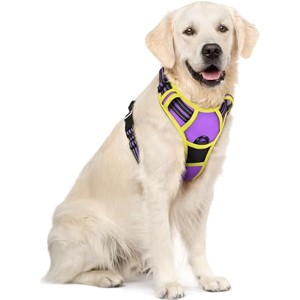 rabbitgoo Dog Harness No Pull with 2 Leash Clips, Oxford No Choke Pet Vest with Easy Control Handle for Large Dogs, Purple & Yellow, XL - 1 of 1