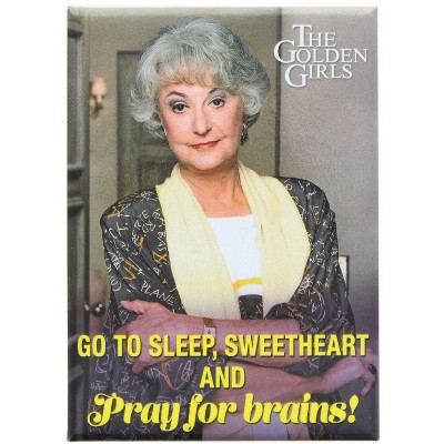 Ata Boy The Golden Girls Dorothy Pray For Brains 2.5 x 3.5 Inch Magnet