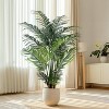 Boersma Artificial Tropical Palm Plant  Artificial Tree with Plastic Pot for Office and Home Decor, Tall Faux Plants for Indoors and Outdoors - 2 of 4